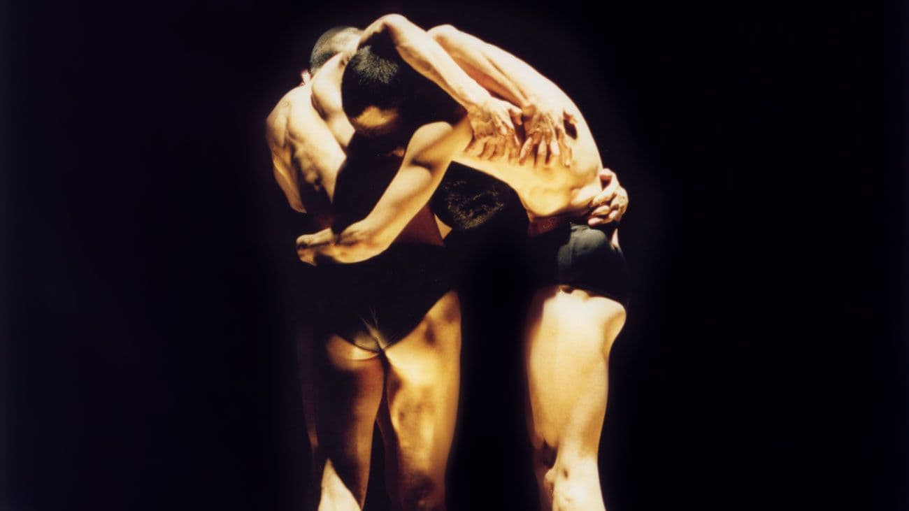 Image de contorsions_1