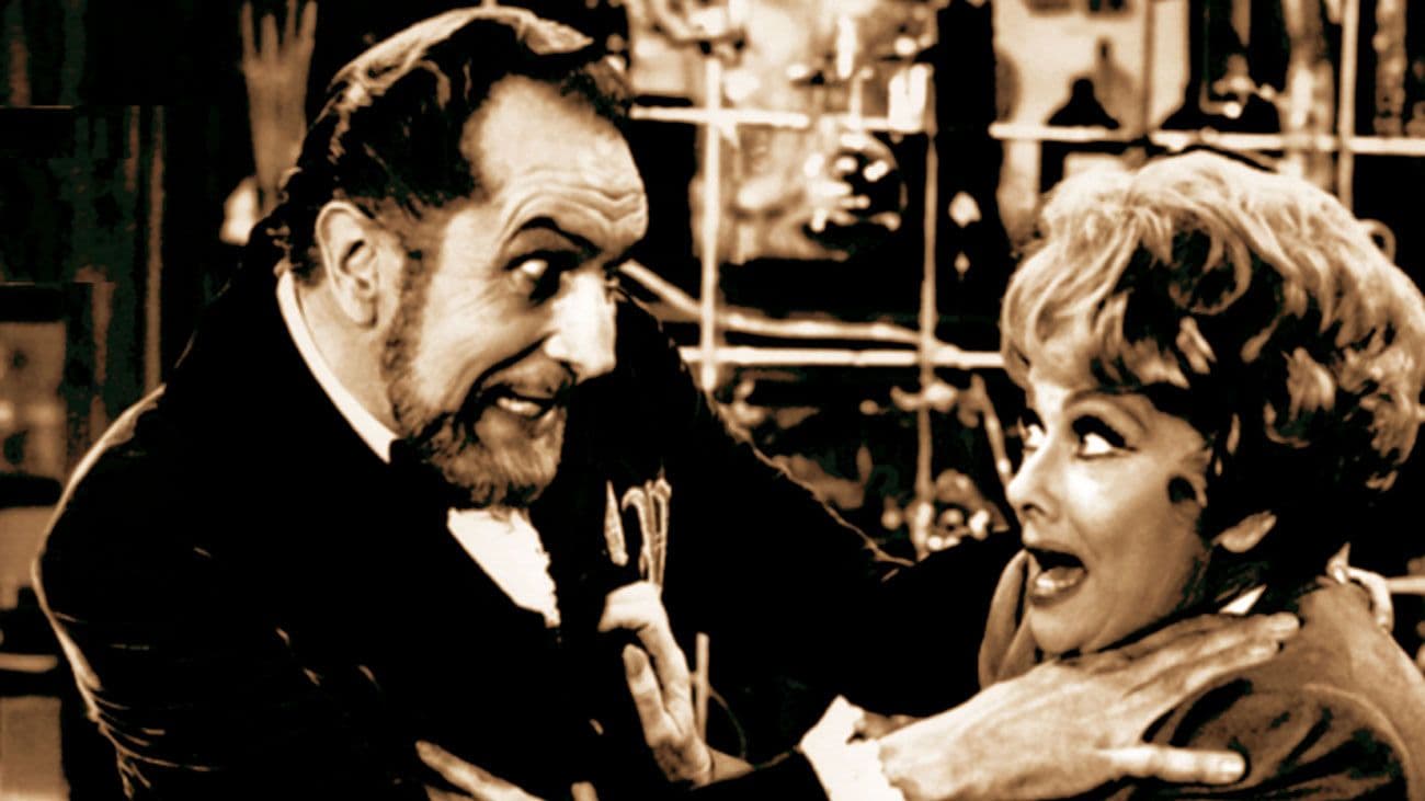 Image de courteline-amour-noir