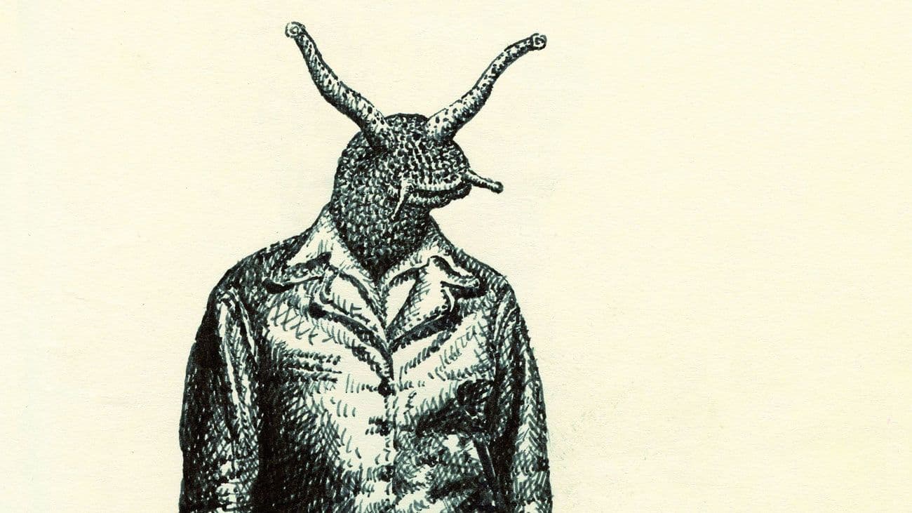 Image de ensemble-skene