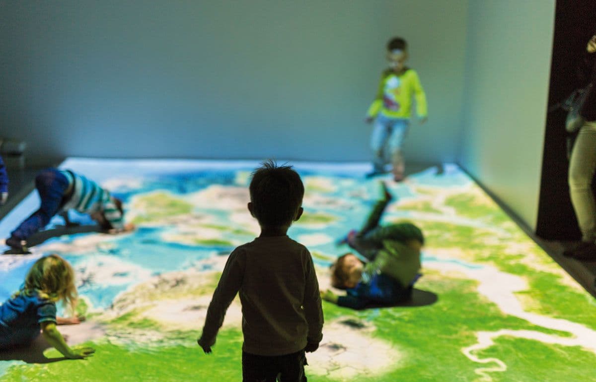 Image de the-giant-map