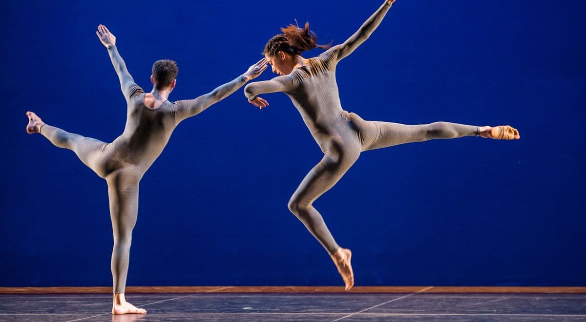 Image de trisha-brown
