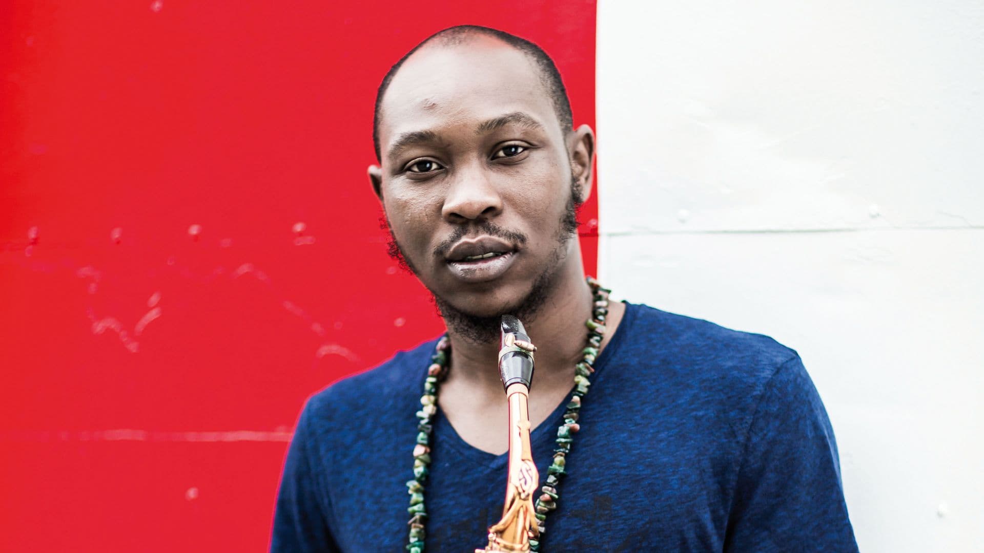 Image de seun-kuti-and-egypt-80