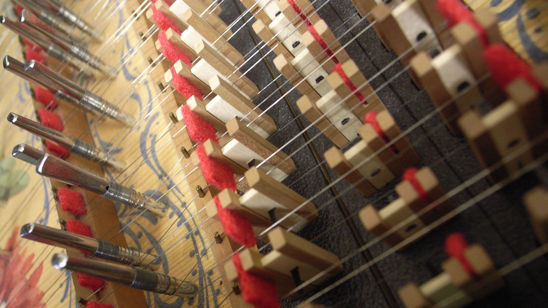 Image de Clavecin, piano, anche et embouchure !