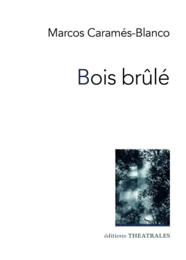 Bois brûlé