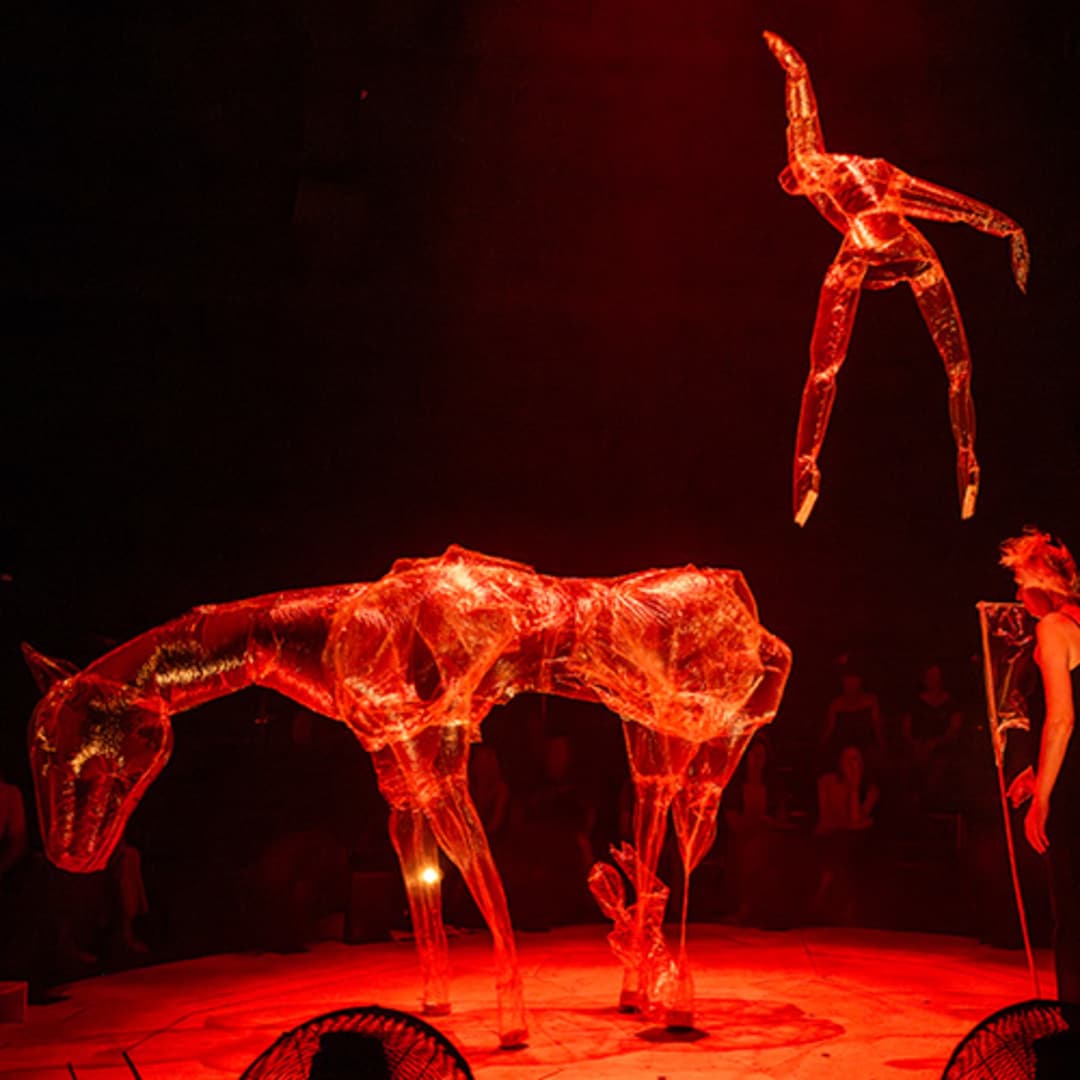 image de NOCTURNE (PARADE) image de NOCTURNE (PARADE)