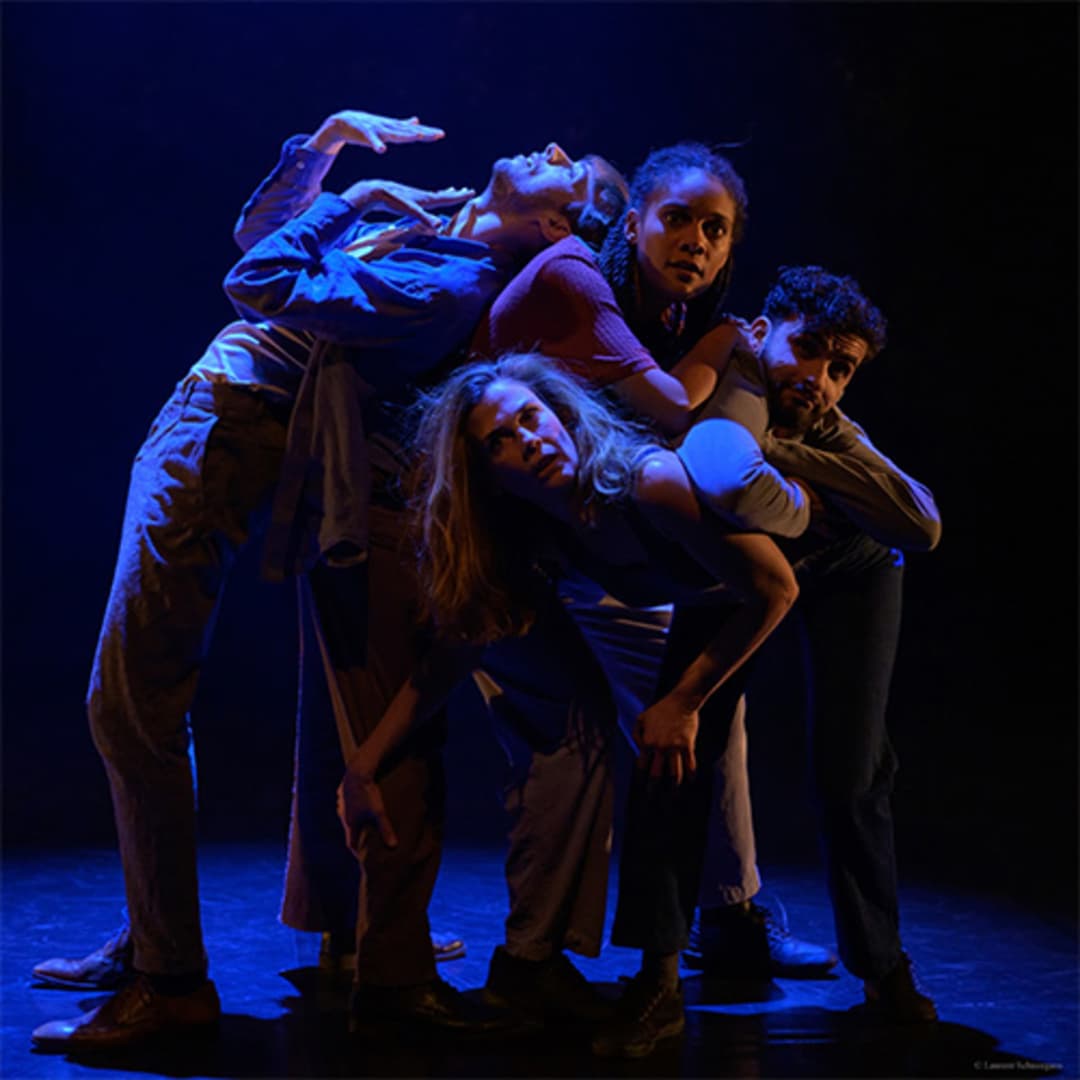 image de R.O.B.I.N image de R.O.B.I.N